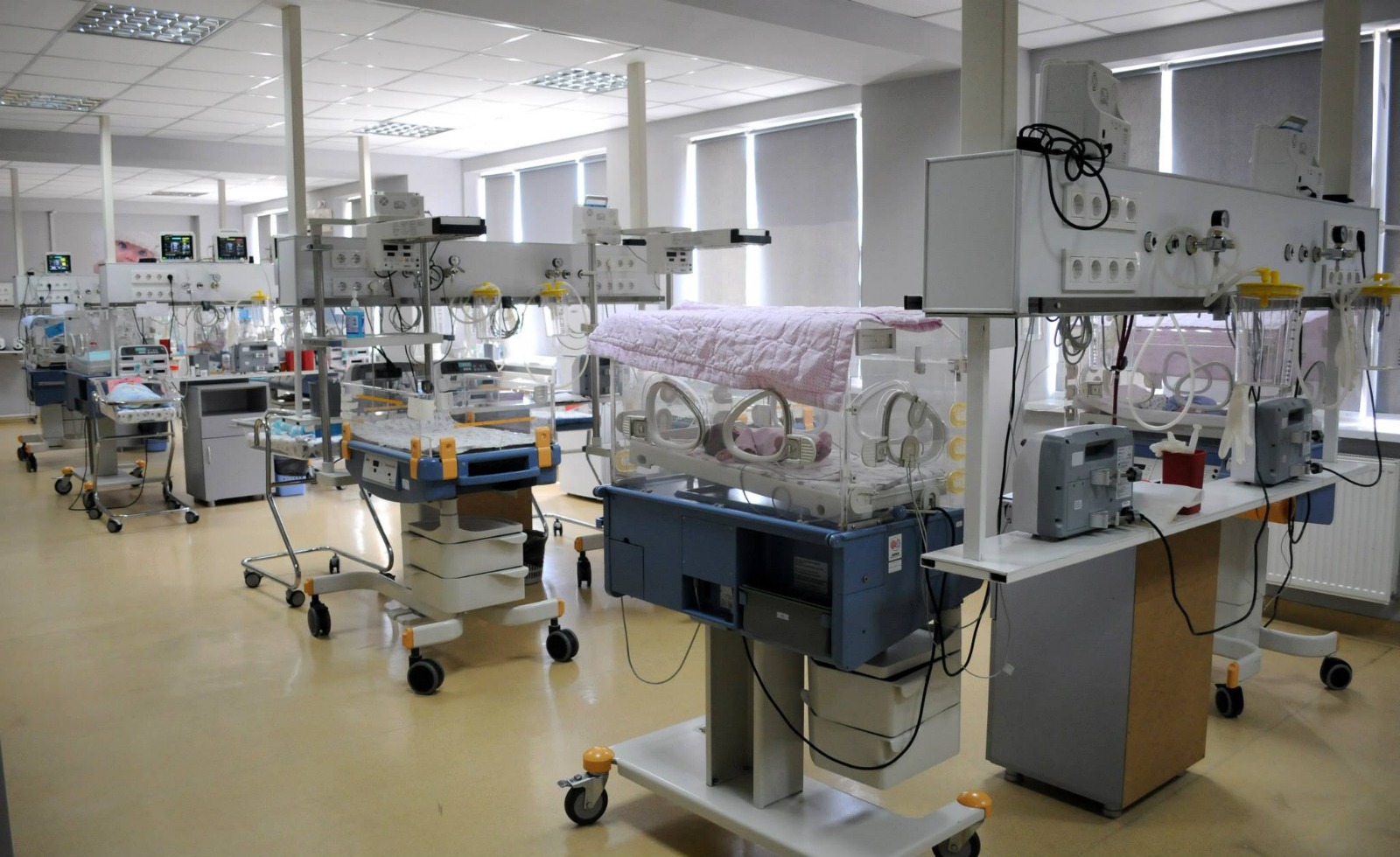 Students eating/living